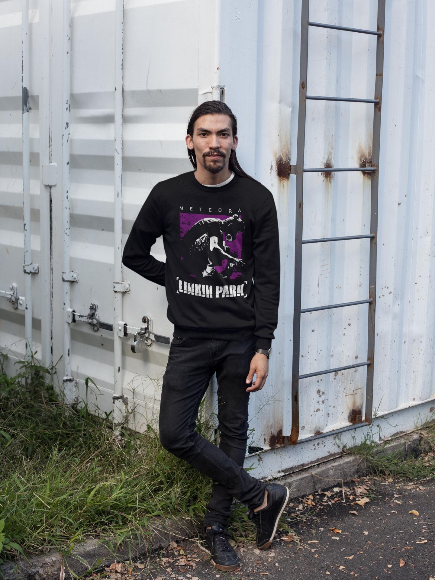 Meteora Purple Vintage